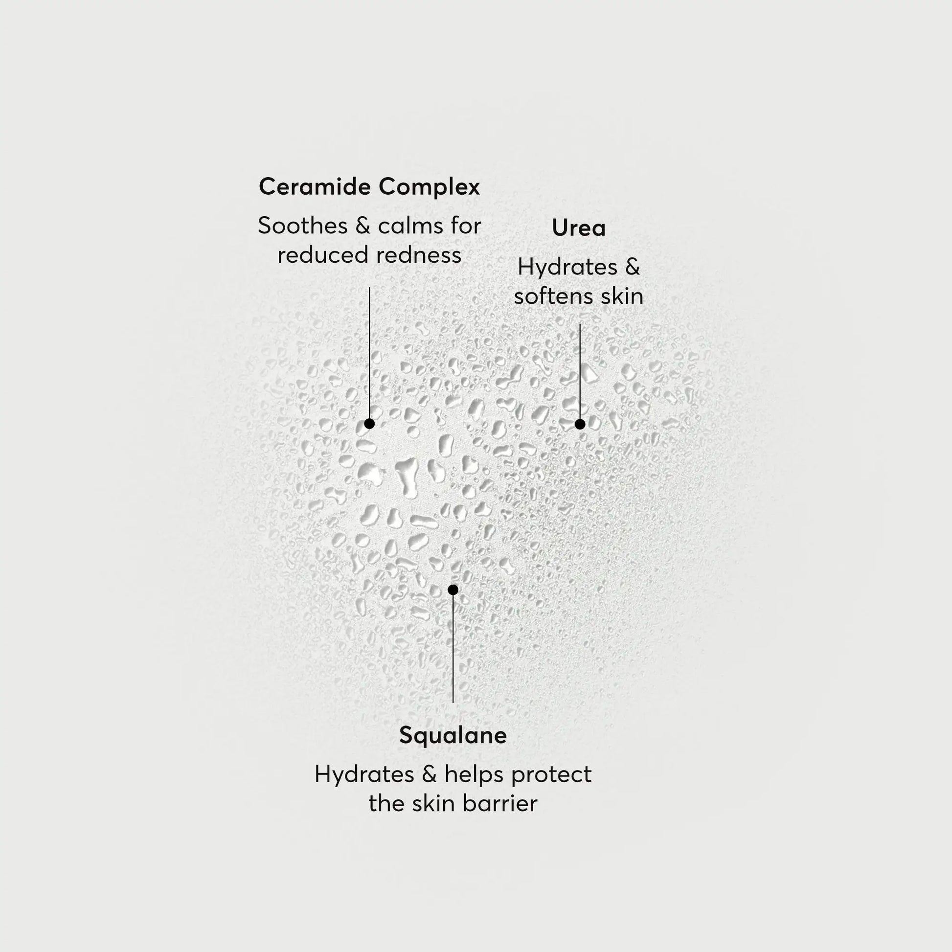 barrier-bounce-bi-phase-mist-f9 NATR-10167-Alt-Images-Barrier-Bounce-Bi-Phase-Toner-Mist_01.webp