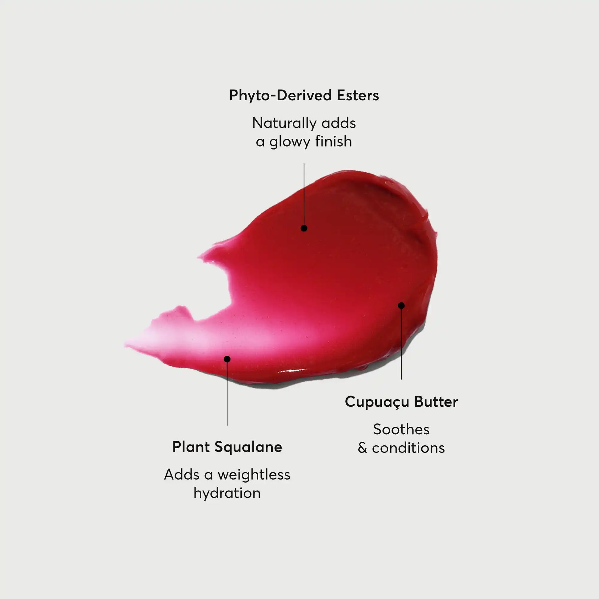 phyto-glow-lip-balm-lychee-p3 NATR-60072-Alt-Images-Phyto-Glow-Lip-Balm-Lychee-01.webp