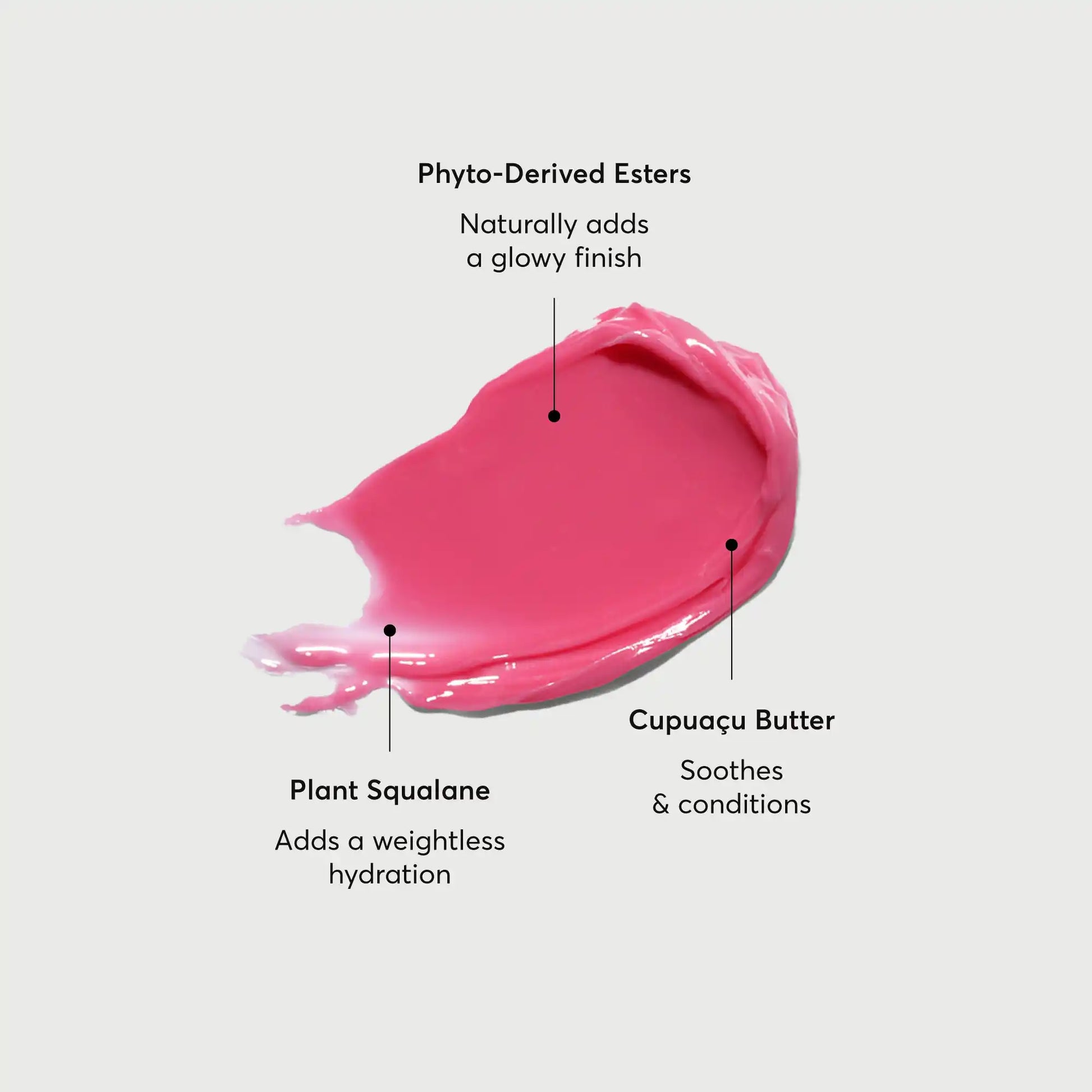 phyto-glow-lip-balm-camellia-t6 NATR-60075-Alt-Images-Phyto-Glow-Lip-Balm-Camellia-01.webp